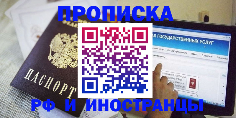 прописка законно в Вязьме